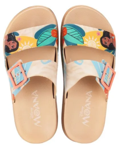 Disney Summer II Slide