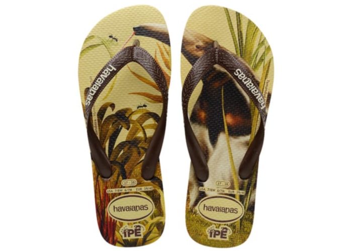 Havaianas IPE main product photo