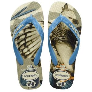 Havaianas IPE White/Steel Blue 41/42
